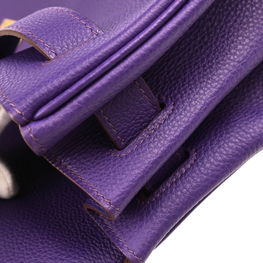 Hermes 2010 Iris Togo Shoulder Kelly Handbag