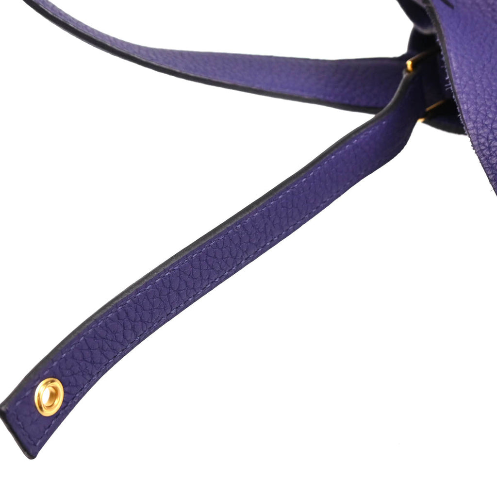 Hermes 2019 Iris Taurillon Clemence Picotin Lock 22 MM Handbag