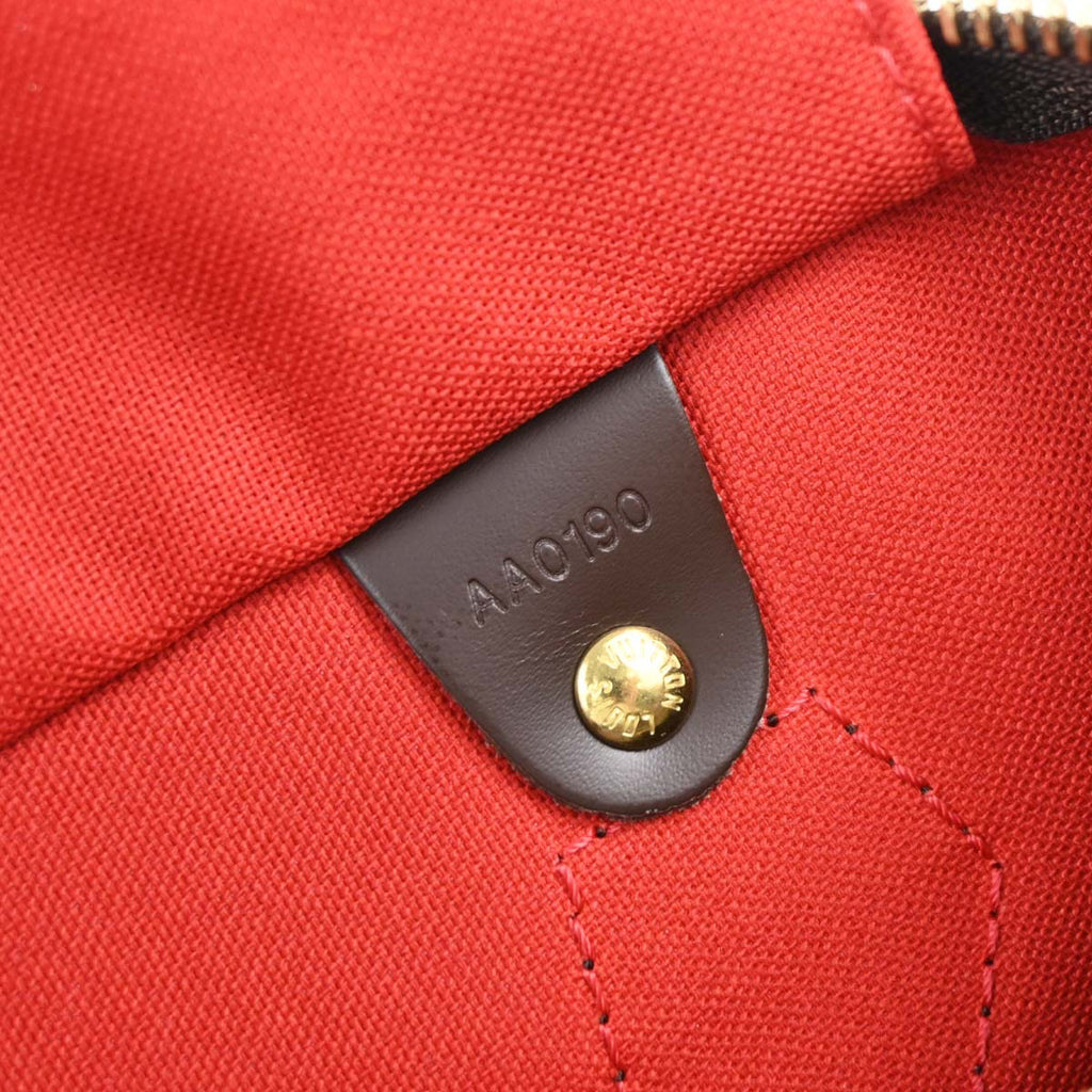 Louis Vuitton 2010 Damier Speedy 25 Handbag N41365
