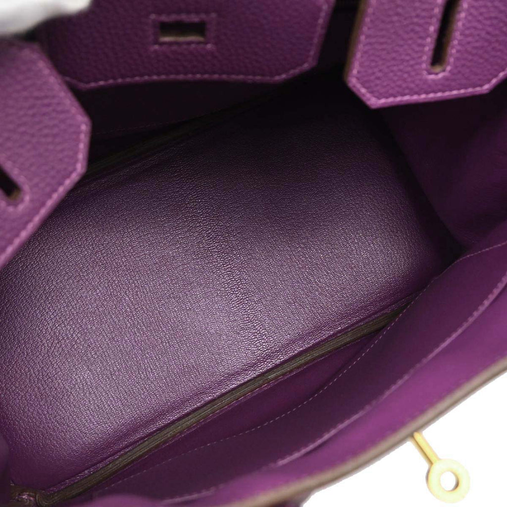 Hermes Anemone Togo Birkin 30 Handbag