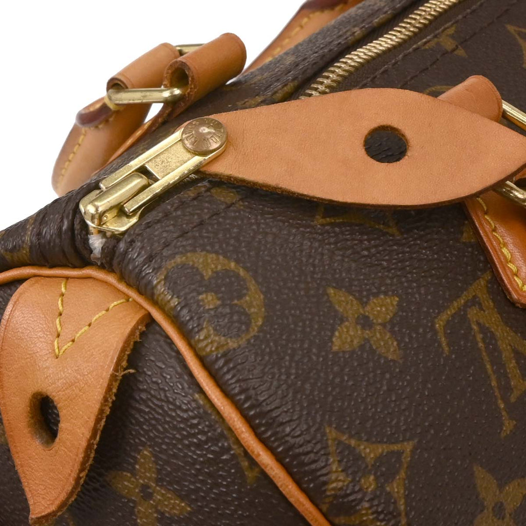 Louis Vuitton Monogram Speedy 25 Handbag M41109