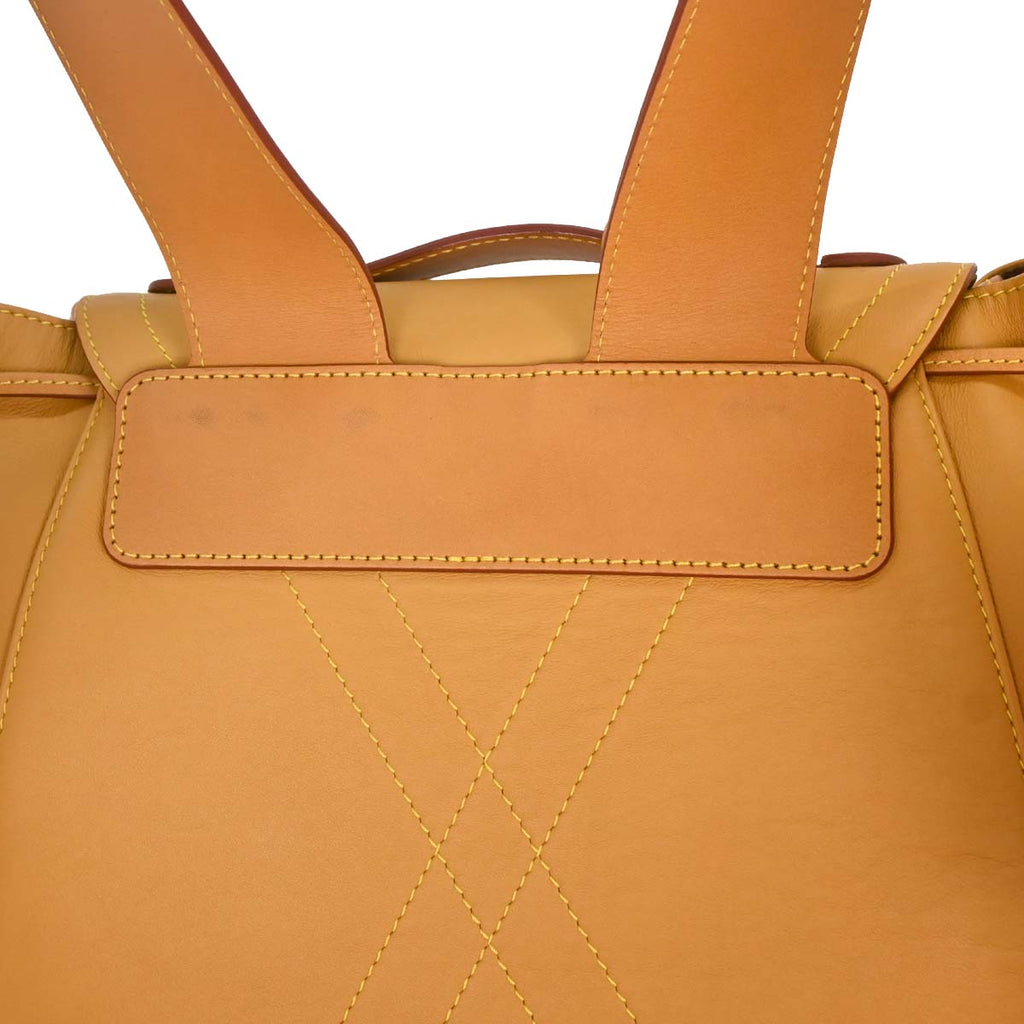 Louis Vuitton Brown Leather Christopher GM Backpack M53270