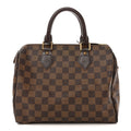 Louis Vuitton Damier Ebene Speedy 25