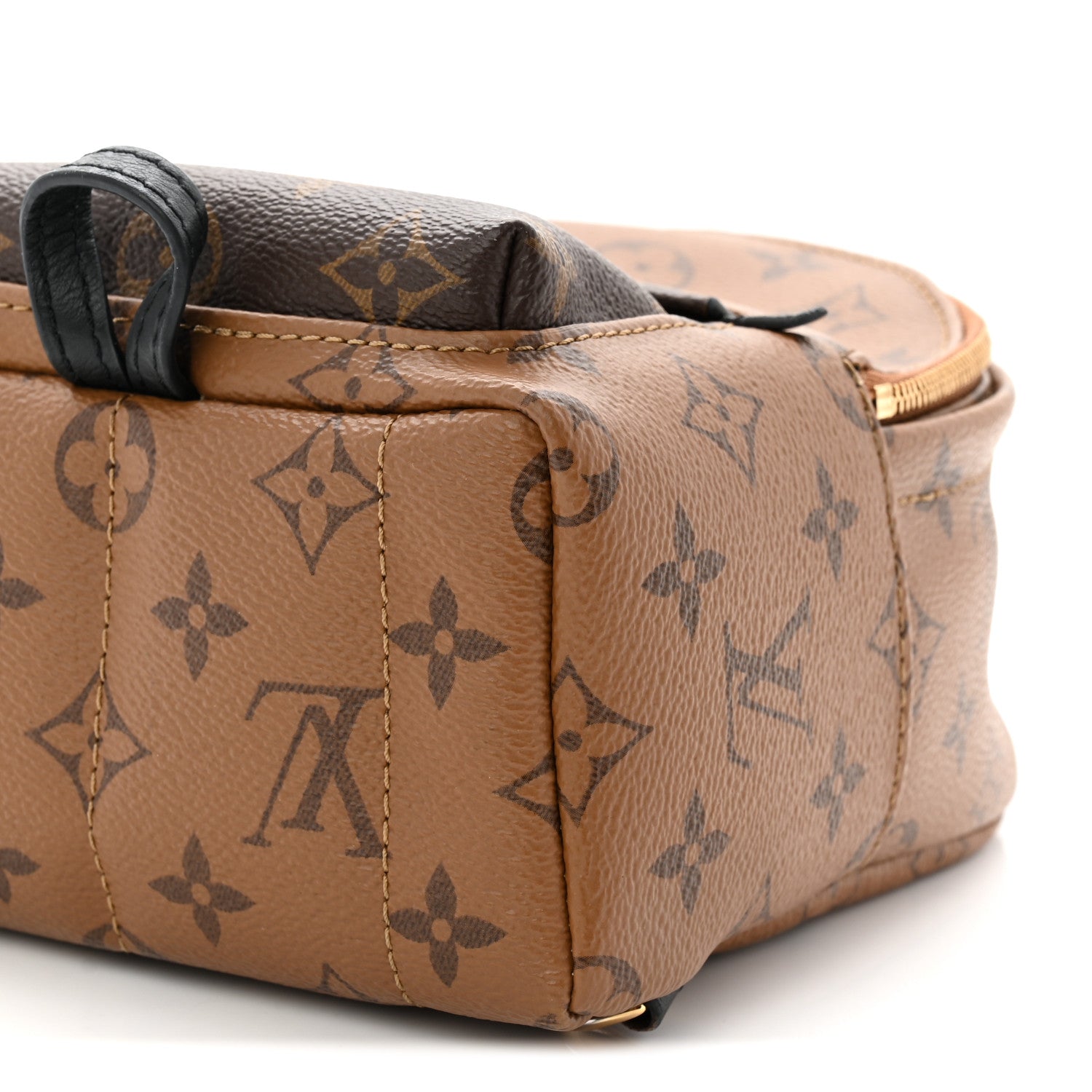 Louis Vuitton Reverse Monogram Palm Springs Backpack Mini
