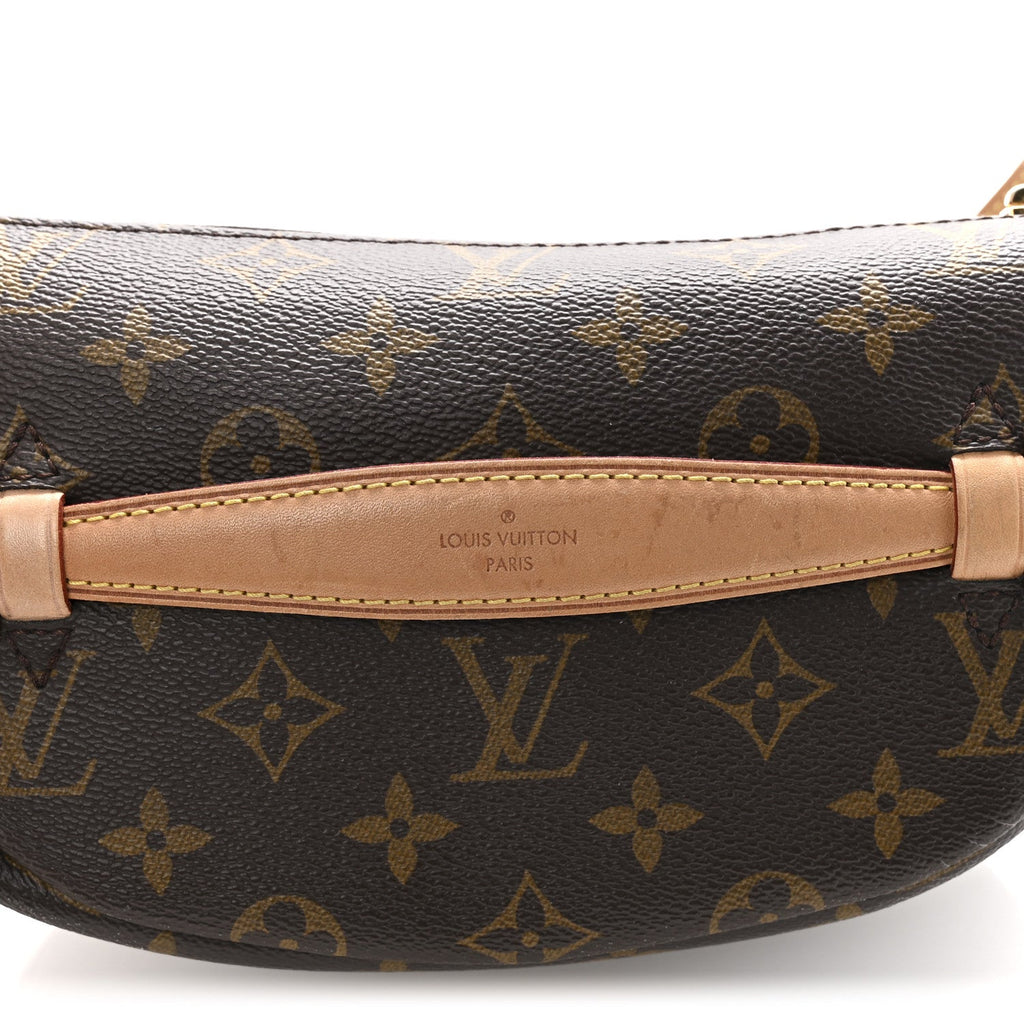 Louis Vuitton Monogram Bumbag