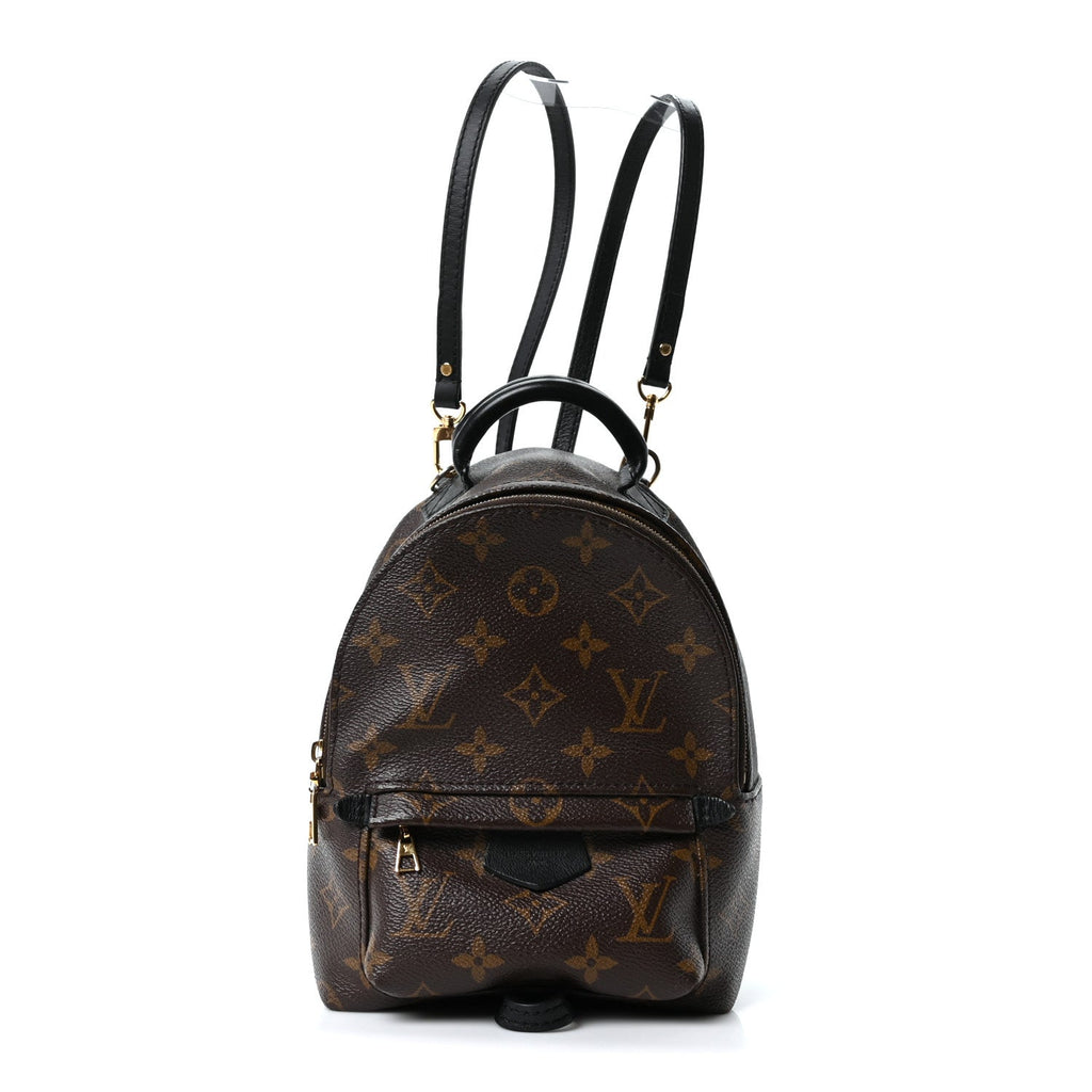 Louis Vuitton Monogram Palm Springs Backpack Mini