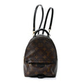 Louis Vuitton Monogram Palm Springs Backpack Mini
