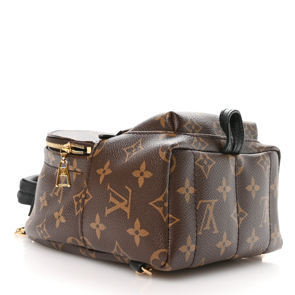 Louis Vuitton Monogram Palm Springs Backpack Mini