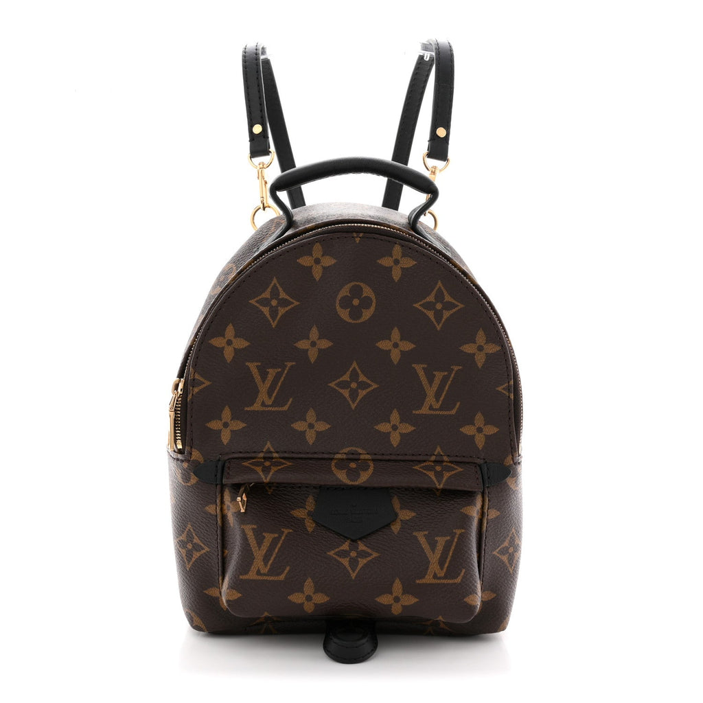 Louis Vuitton Monogram Palm Springs Backpack Mini