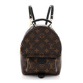 Louis Vuitton Monogram Palm Springs Backpack Mini