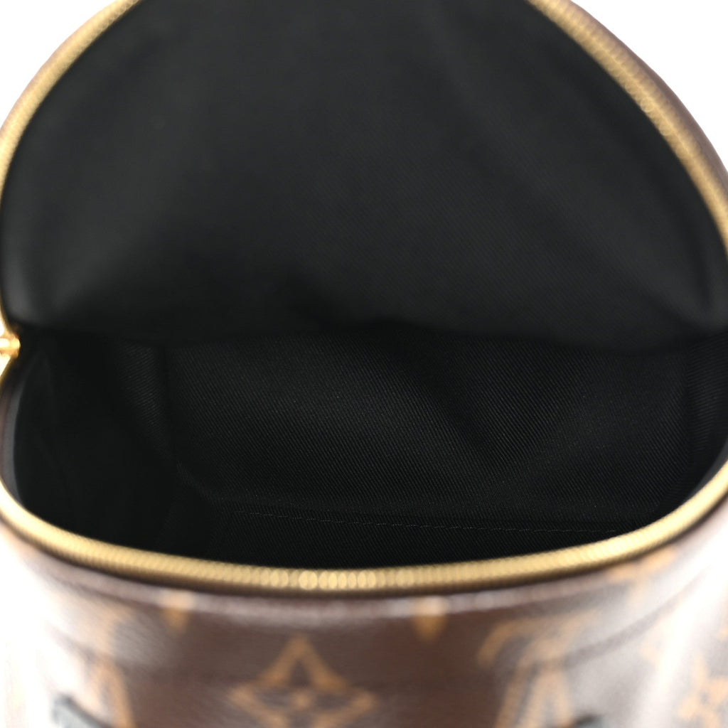 Louis Vuitton Monogram Palm Springs Backpack Mini