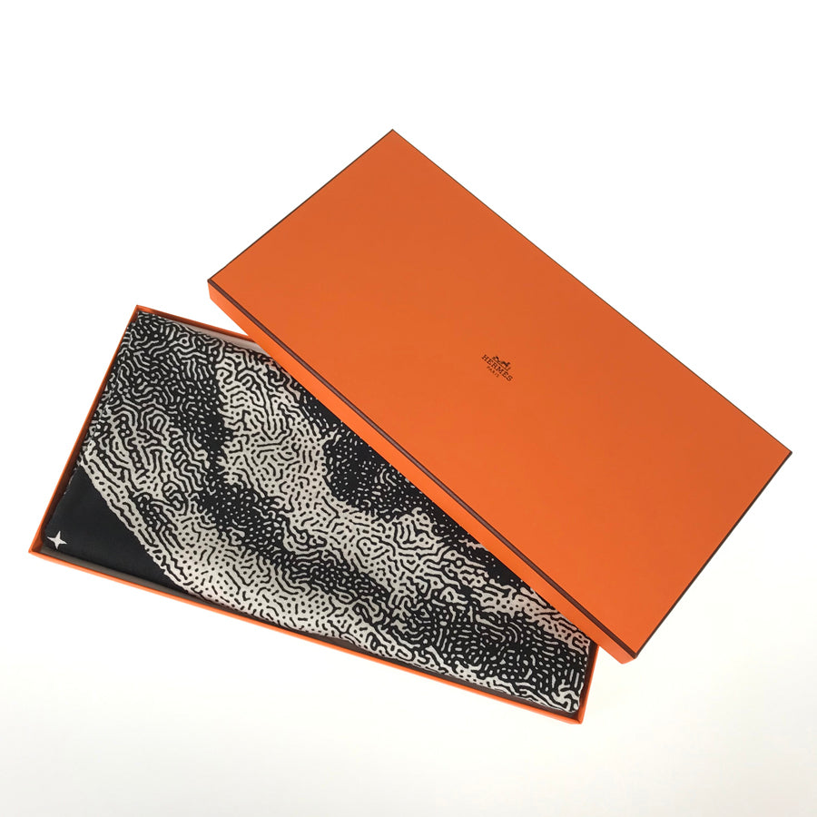 HERMES Caregean Women's Scarf