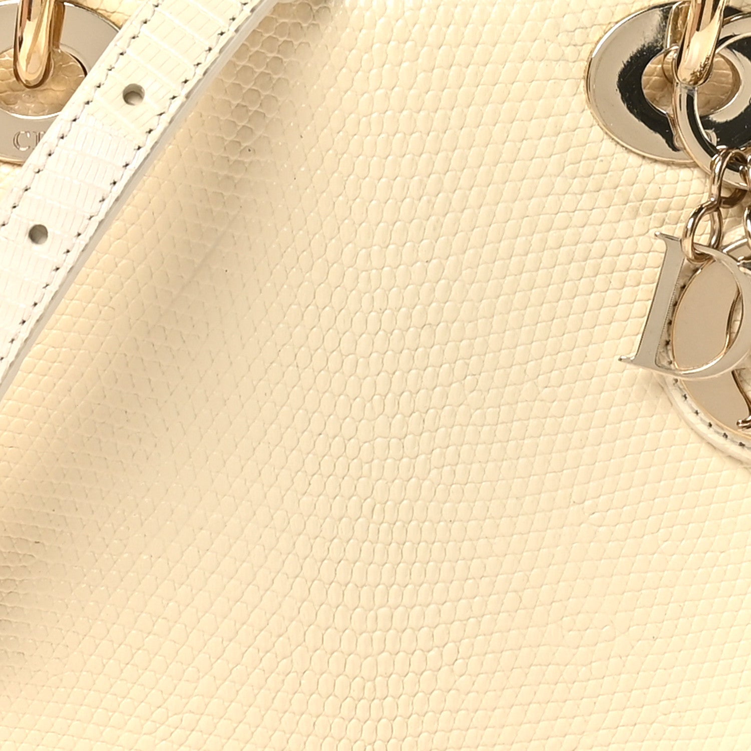 Christian Dior Lizard Mini Lady Dior White