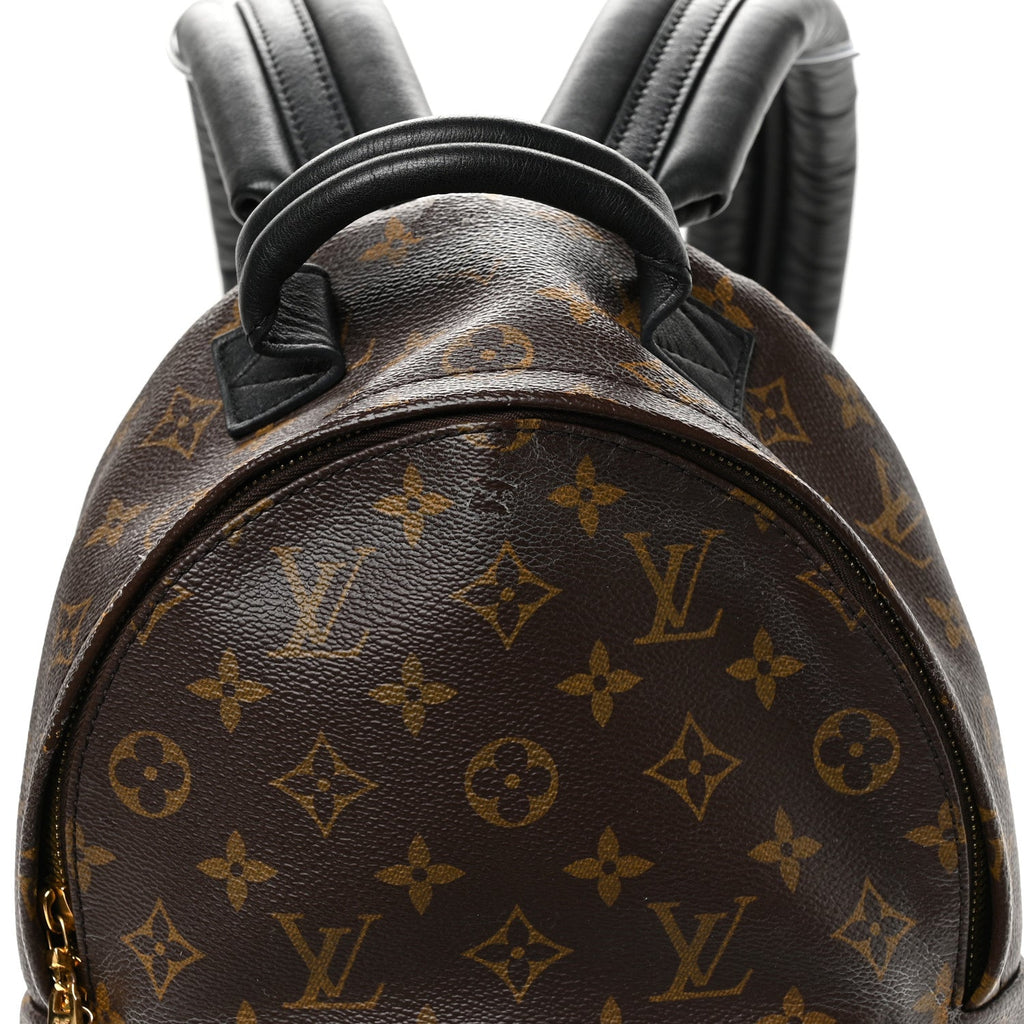 Louis Vuitton Reverse Monogram Palm Springs Backpack PM