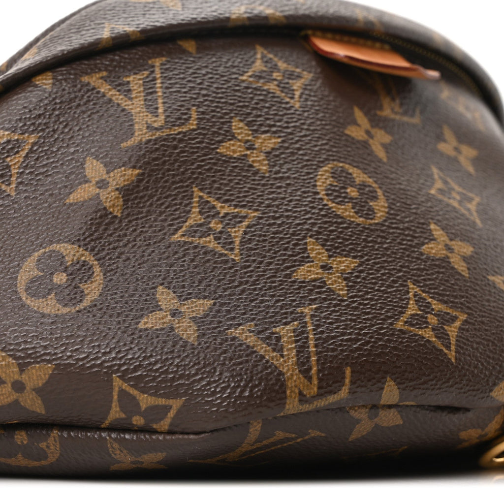 Louis Vuitton Monogram Bumbag