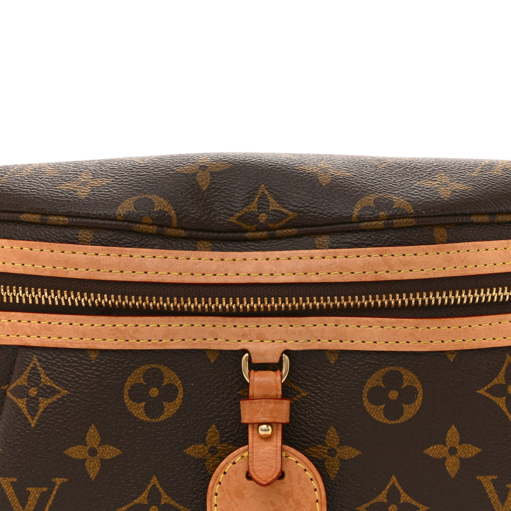 Louis Vuitton Monogram High Rise Bumbag