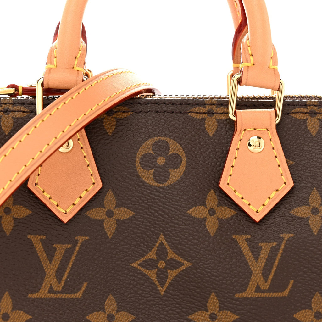 Louis Vuitton Monogram Nano Speedy Bandouliere