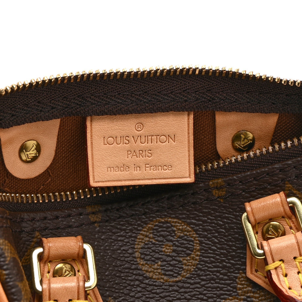 Louis Vuitton Monogram Nano Speedy