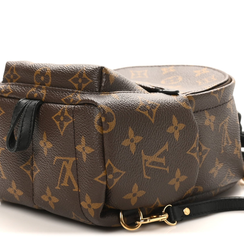Louis Vuitton Monogram Palm Springs Backpack Mini