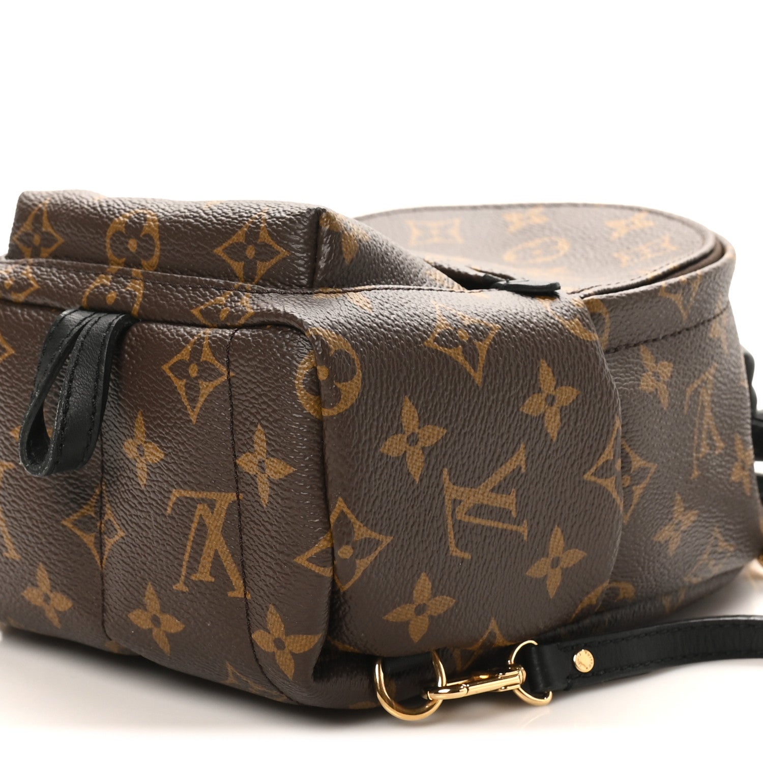 Louis Vuitton Monogram Palm Springs Backpack Mini