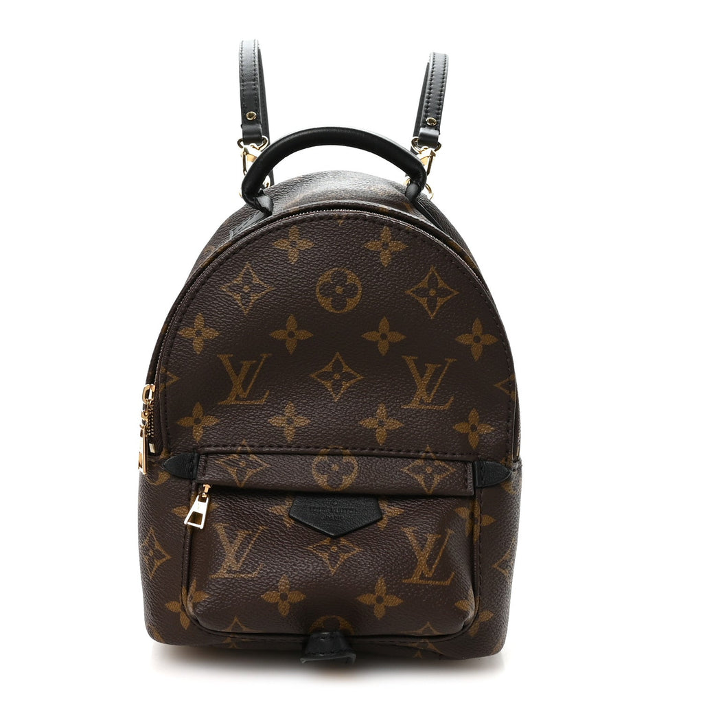 Louis Vuitton Monogram Palm Springs Backpack Mini