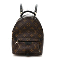 Louis Vuitton Monogram Palm Springs Backpack Mini