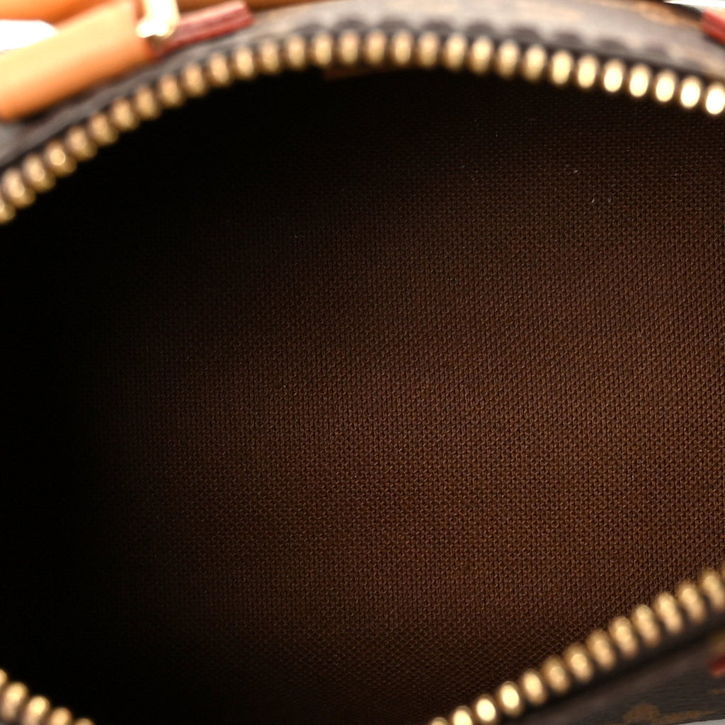 Louis Vuitton Monogram Nano Speedy Bandouliere