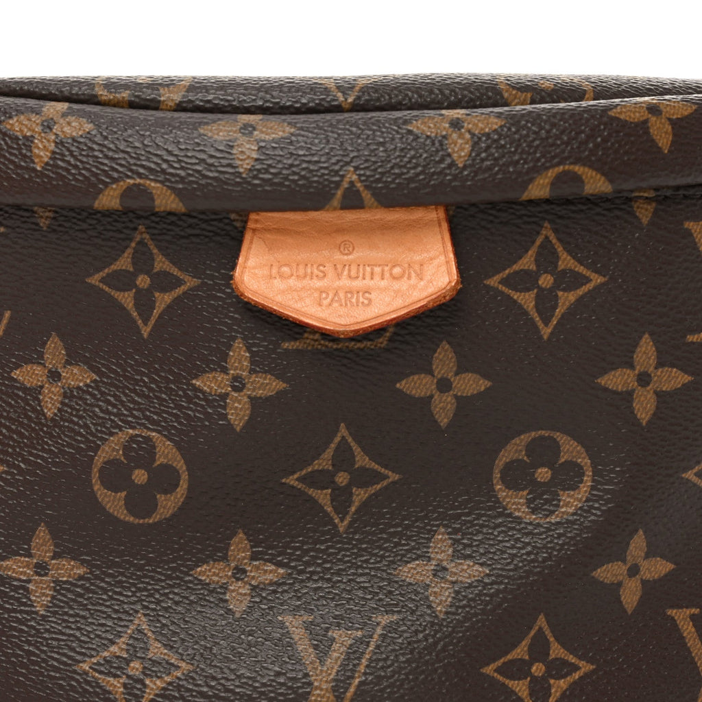 Louis Vuitton Monogram Bumbag