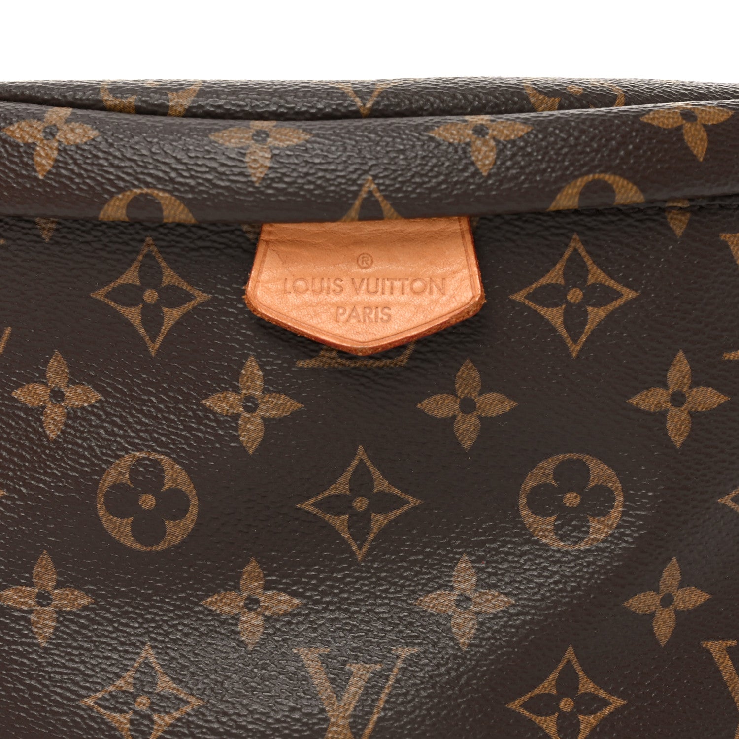Louis Vuitton Monogram Bumbag
