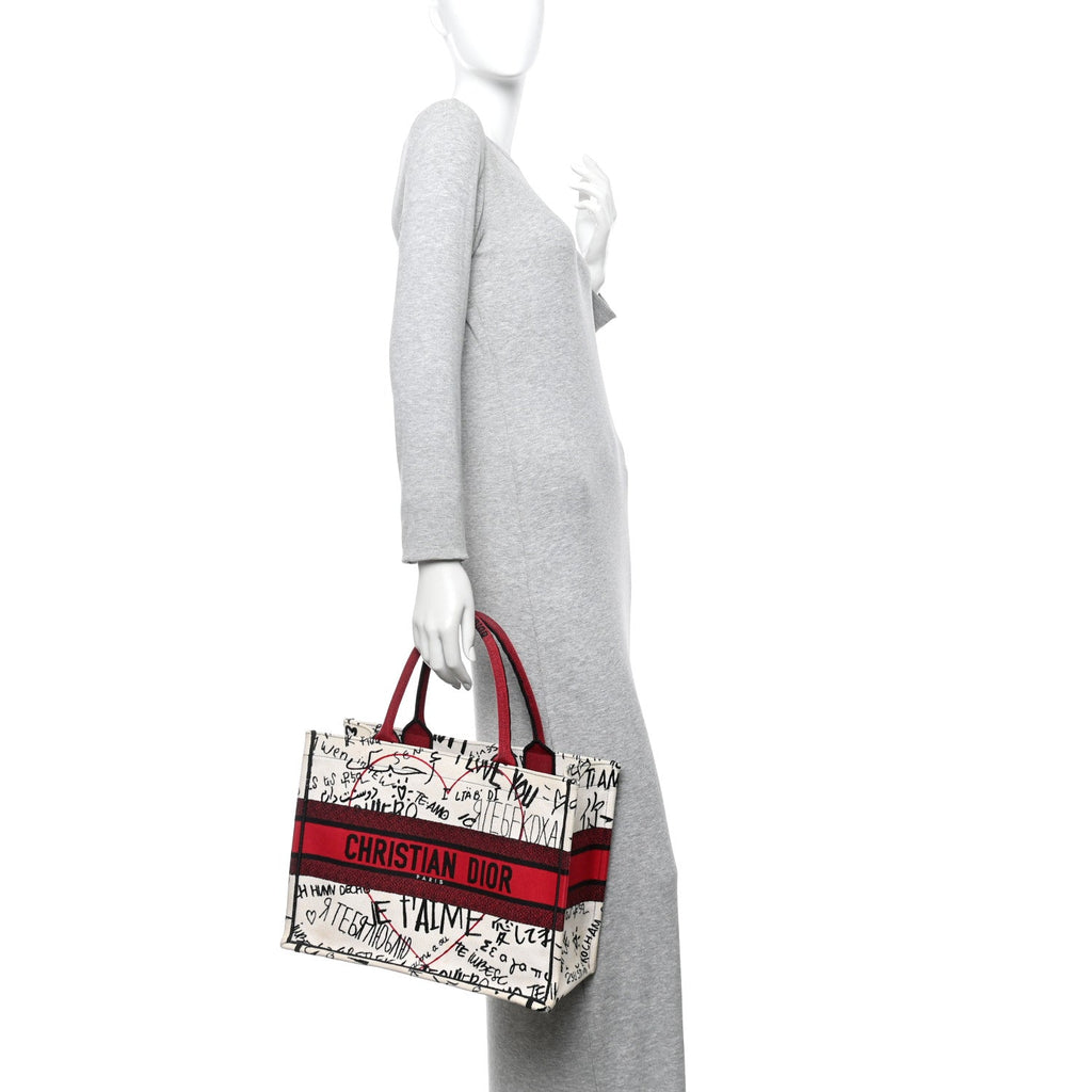 Christian Dior Canvas Embroidered Medium Dioramour Graffiti Book Tote Latte Multicolor