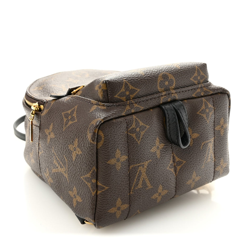 Louis Vuitton Monogram Palm Springs Backpack Mini