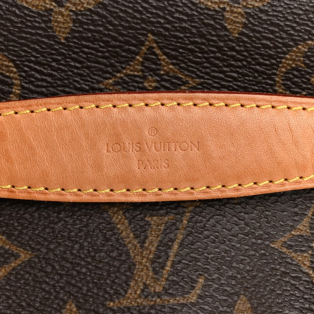 Louis Vuitton Monogram Bumbag