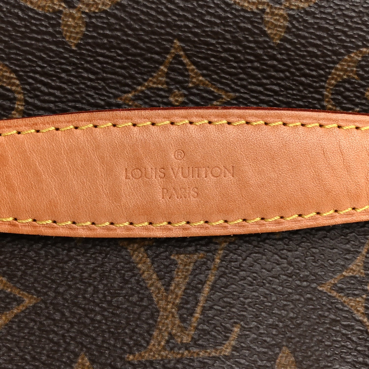 Louis Vuitton Monogram Bumbag