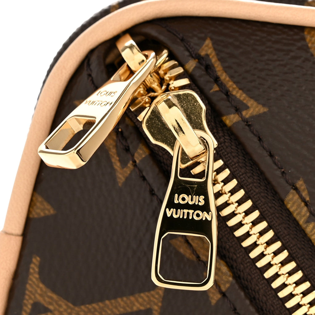 Louis Vuitton Monogram Toiletry Bag