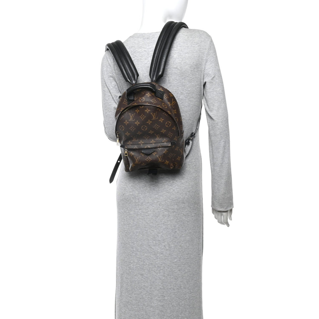 Louis Vuitton Monogram Palm Springs Backpack PM