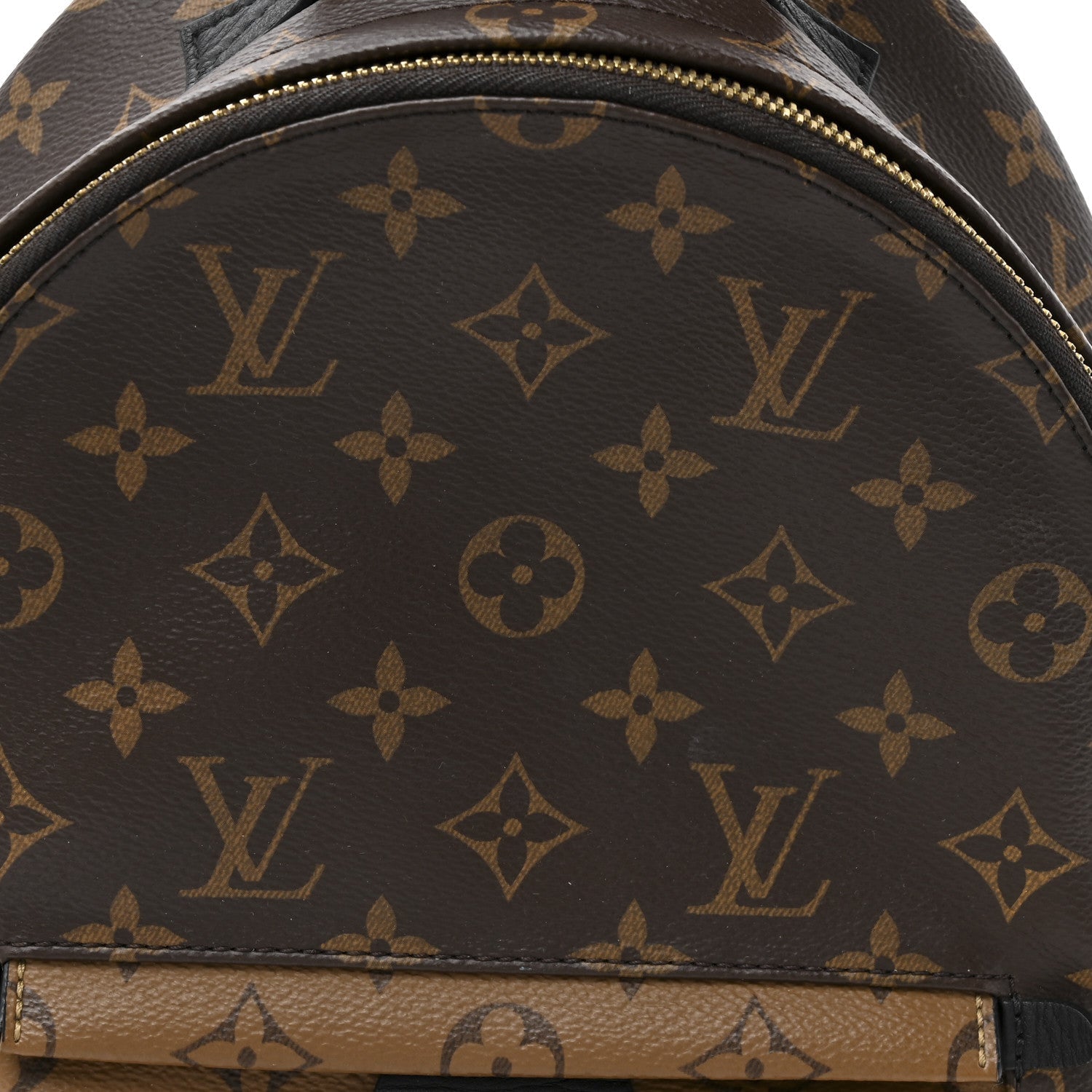 Louis Vuitton Reverse Monogram Palm Springs Backpack PM