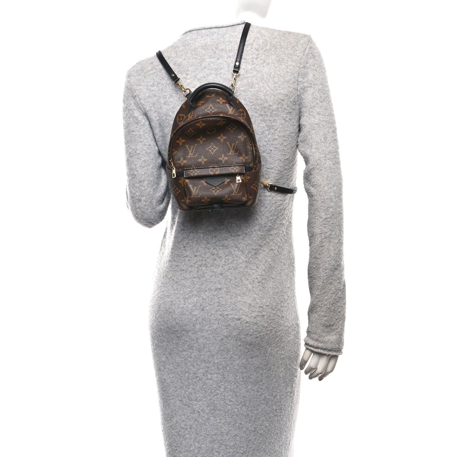 Louis Vuitton Monogram Palm Springs Backpack Mini
