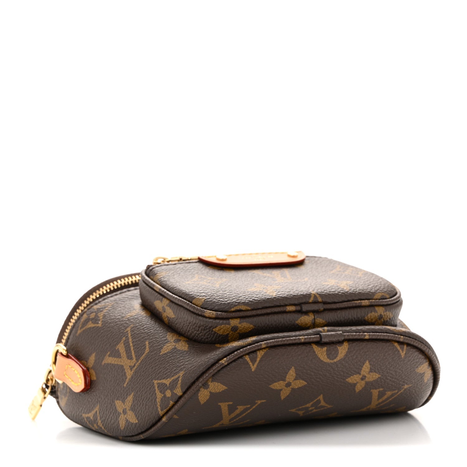 Louis Vuitton Monogram Mini Bumbag