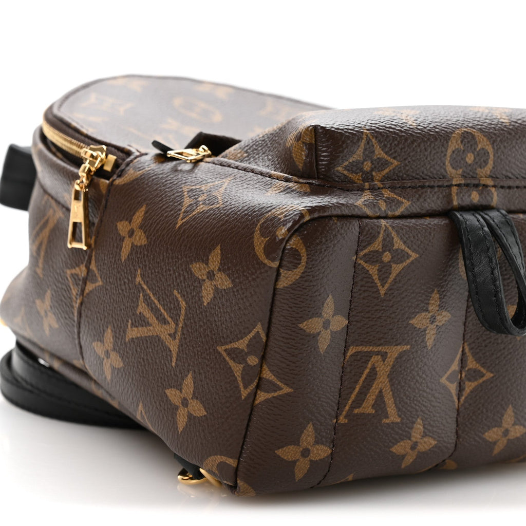 Louis Vuitton Monogram Palm Springs Backpack Mini