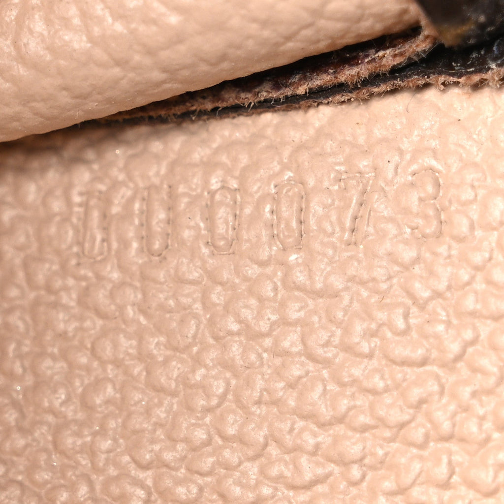 Louis Vuitton Monogram Toiletry Pouch 15