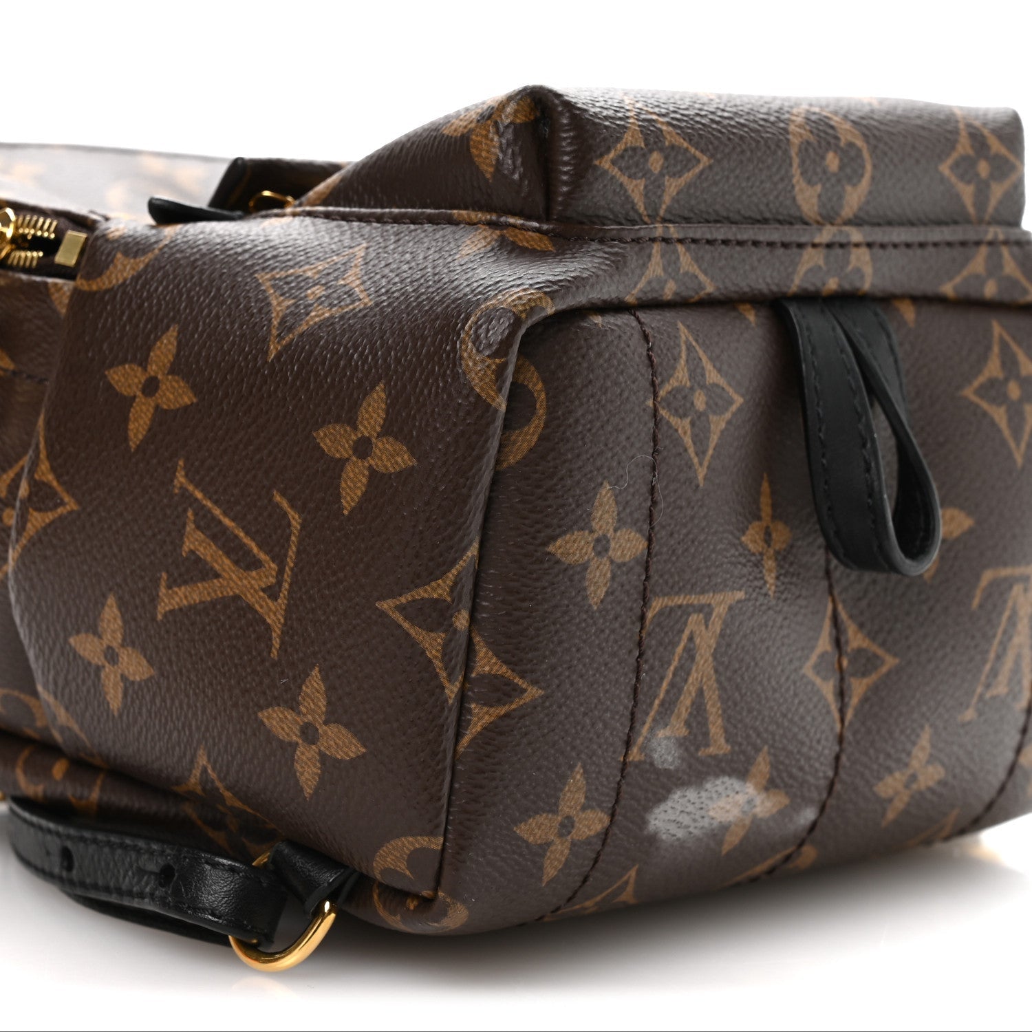 Louis Vuitton Monogram Palm Springs Backpack Mini