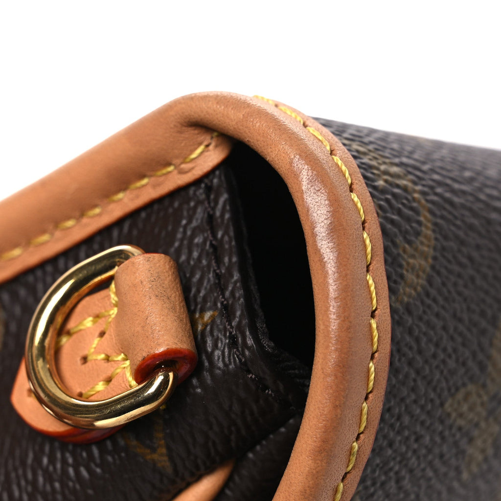 Louis Vuitton Monogram Nano Diane