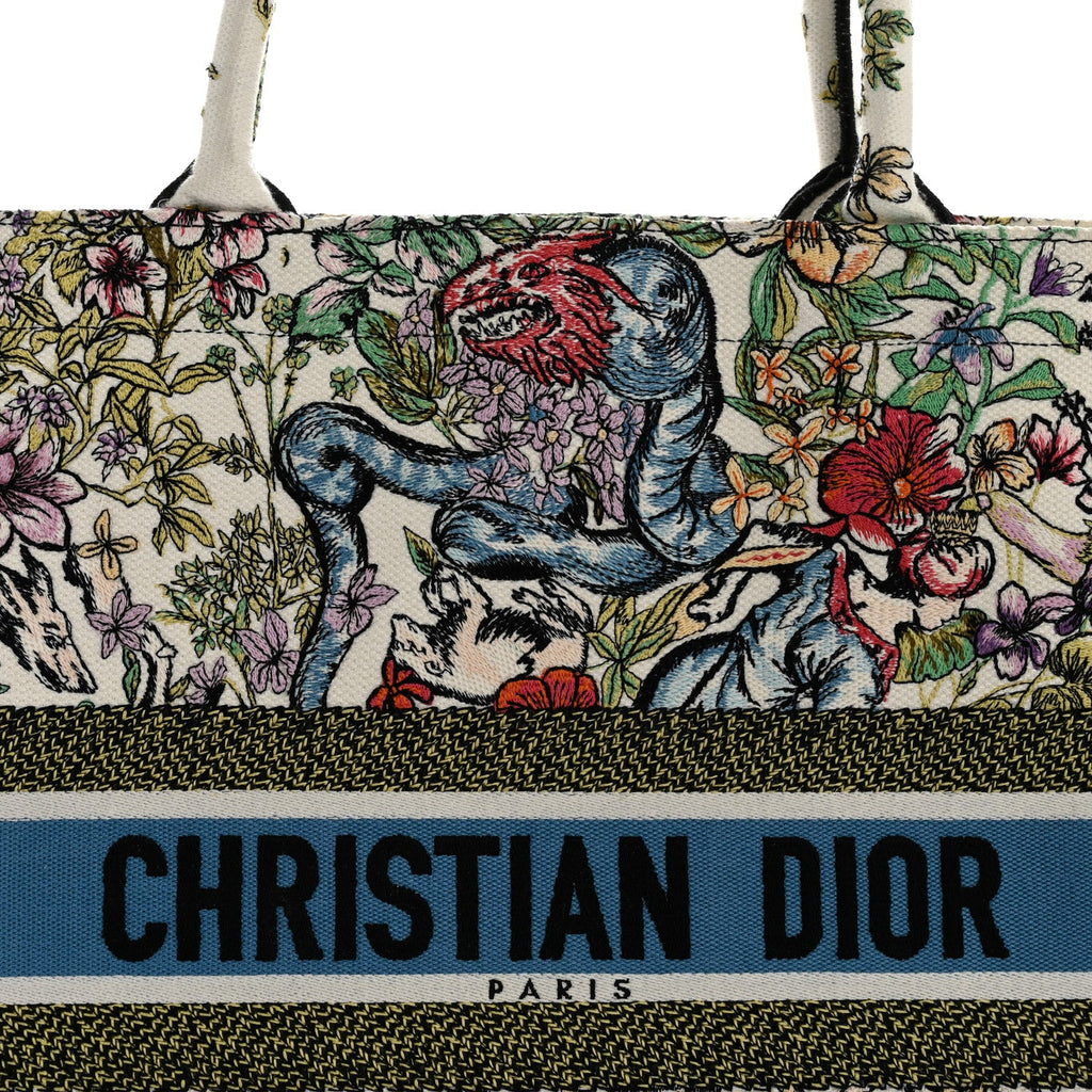 Christian Dior Canvas Embroidered Large D-Constellation Book Tote Latte Multicolor