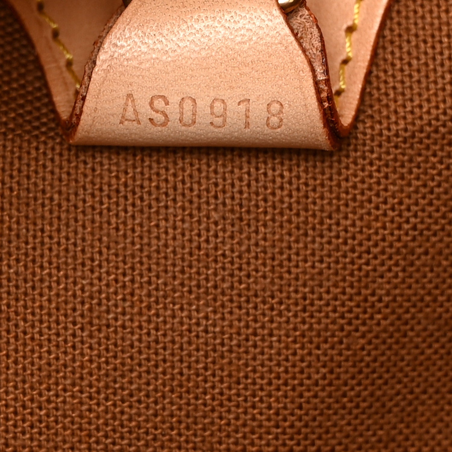 Louis Vuitton Monogram Ellipse MM