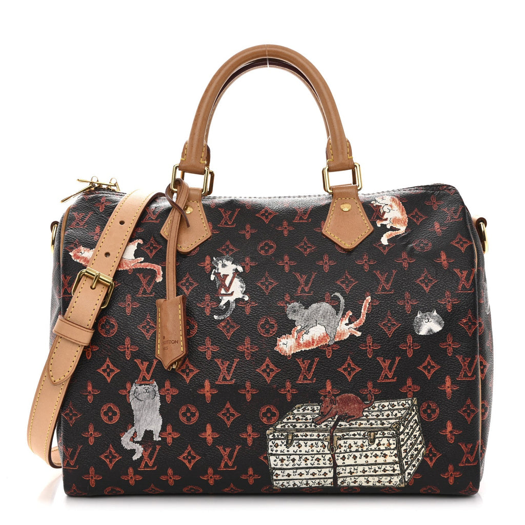 Louis Vuitton Catogram Speedy Bandouliere 30 Marron