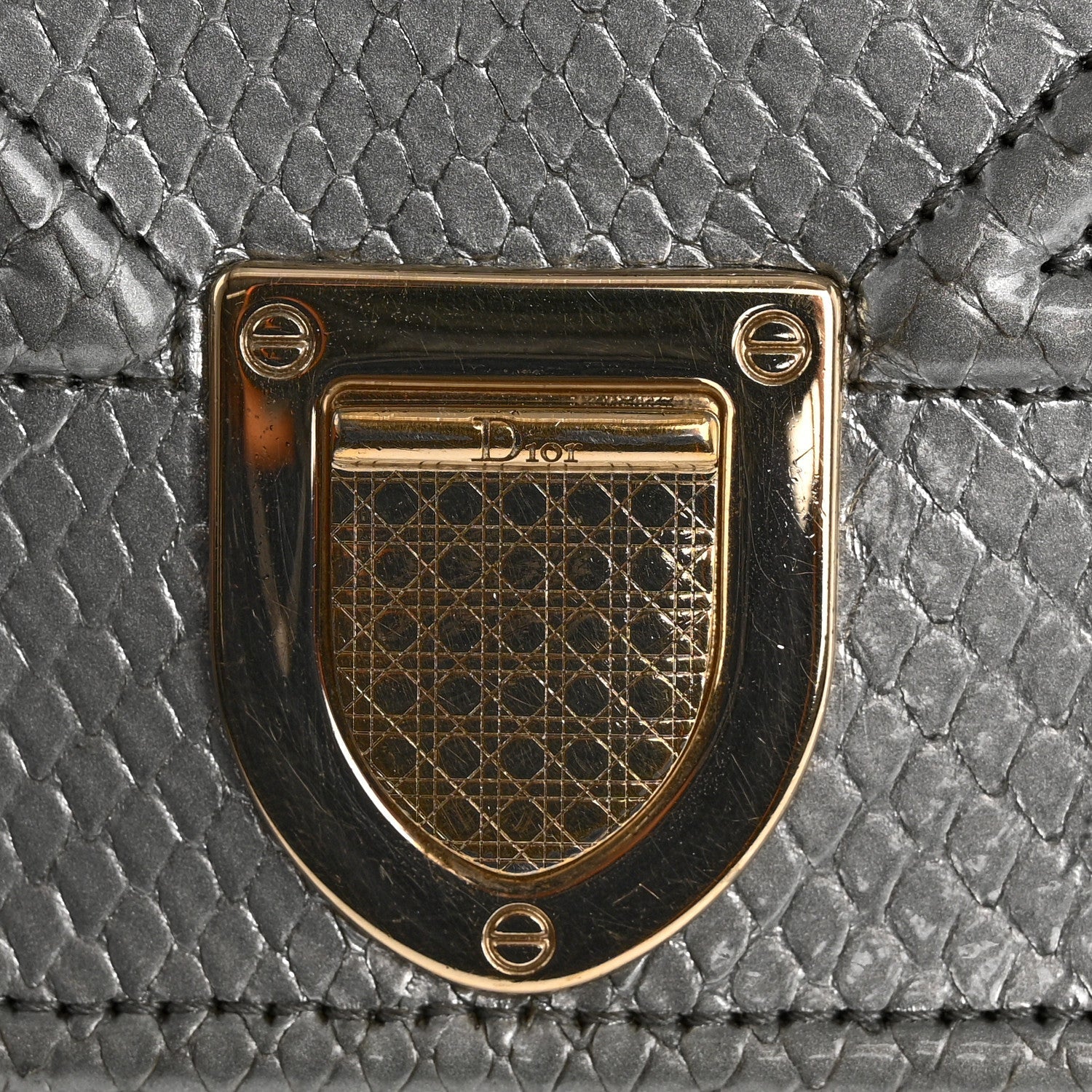 Christian Dior Snakeskin Diorama Wallet on Chain Pouch Silver