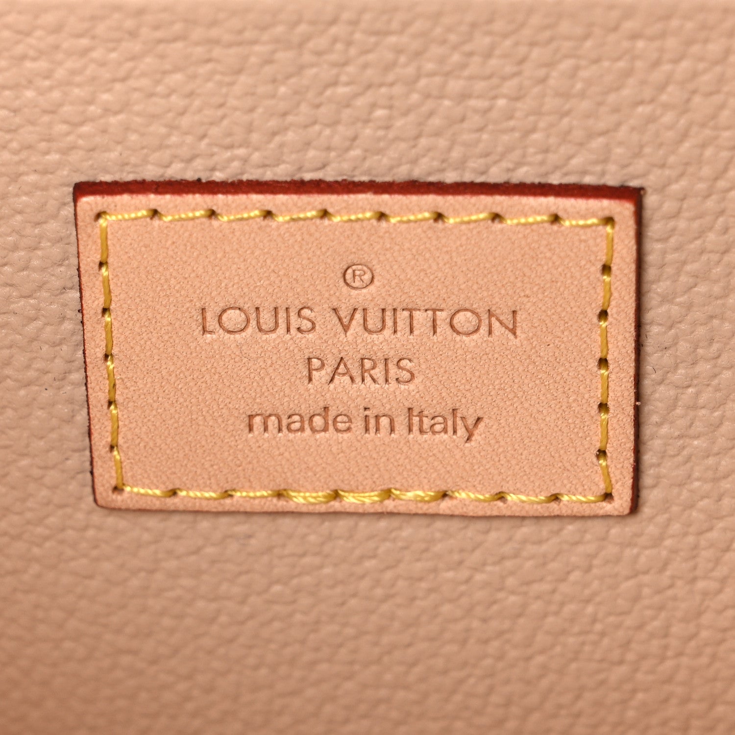 Louis Vuitton Monogram Nice Mini