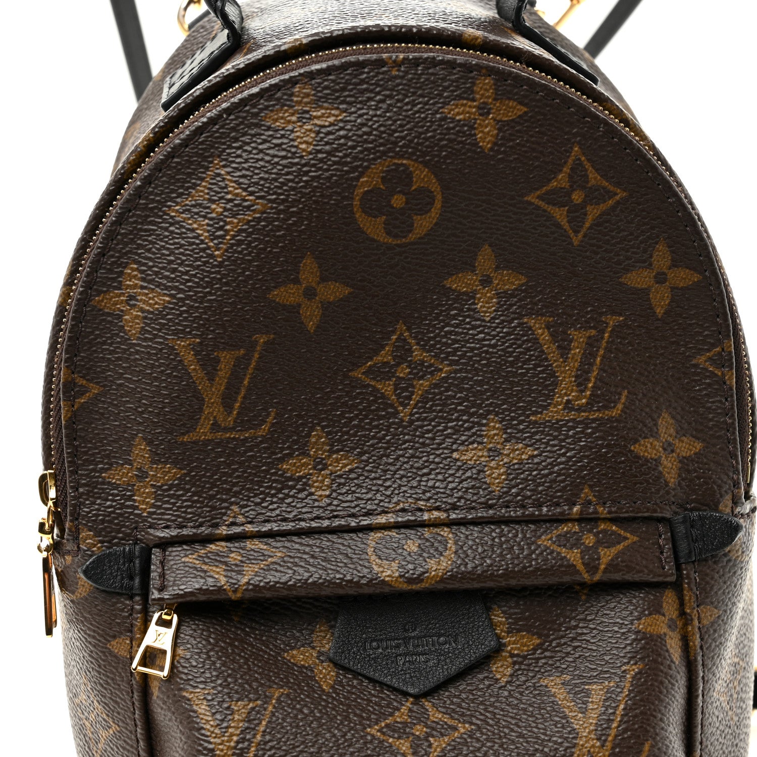 Louis Vuitton Monogram Palm Springs Backpack Mini