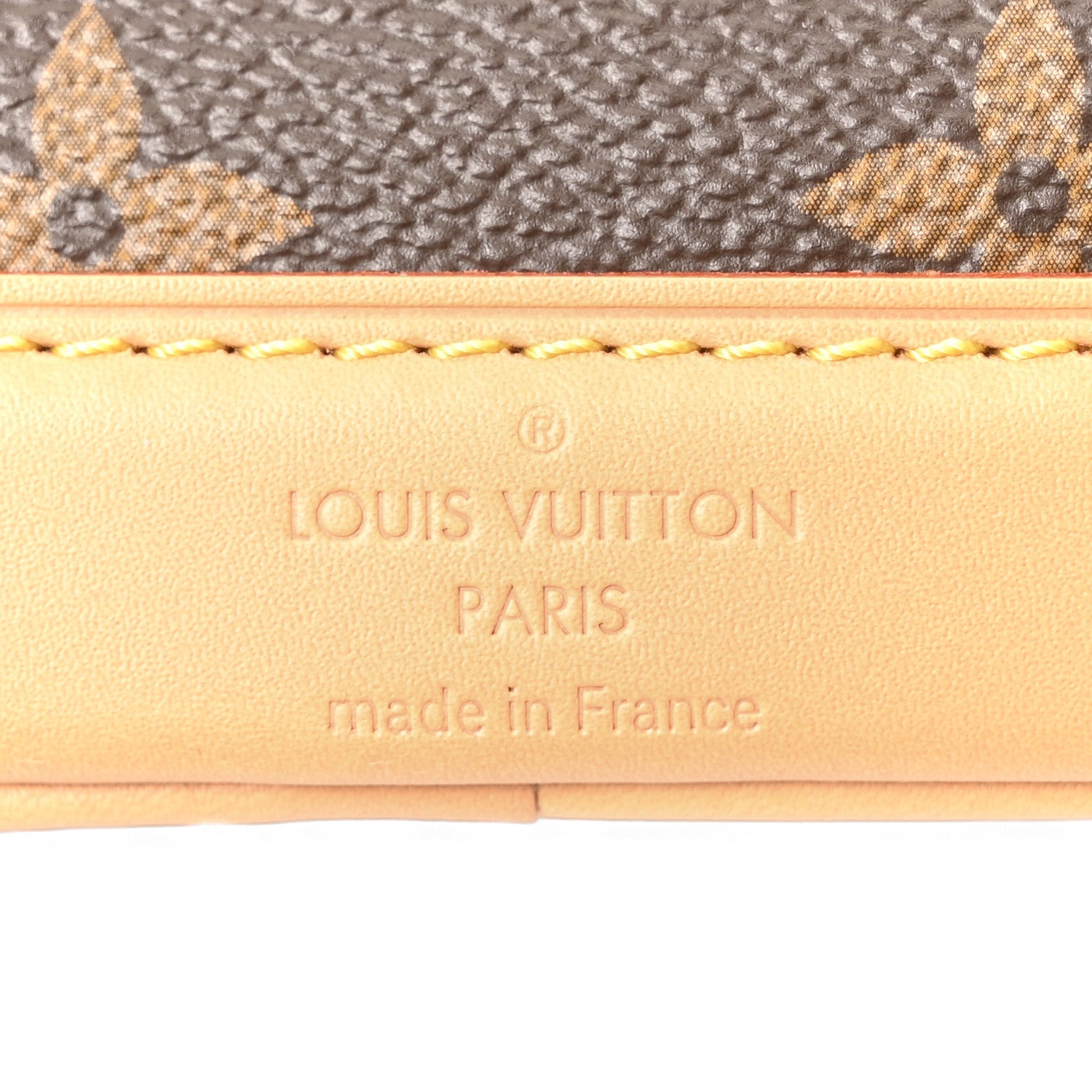 Louis Vuitton Monogram Nano Noe NV