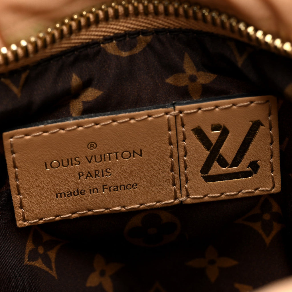 Louis Vuitton Econyl Monogram Pillow Maxi Multi Pochette Accessories Mini Pochette Beige